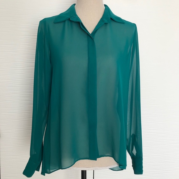sheer chiffon long sleeve blouse